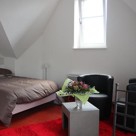 Apartament Studio De La Petite Venise Colmar Zewnętrze zdjęcie